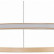 Подвесной светильник ST-Luce ST604 OUT ST604.243.34