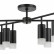 Люстра на штанге Lightstar Rullo LR7283781