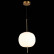 Подвесной светильник ST-Luce Lacus SL1621.213.01