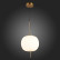 Подвесной светильник ST-Luce Lacus SL1621.213.01