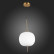 Подвесной светильник ST-Luce Lacus SL1621.213.01