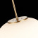 Подвесной светильник ST-Luce Lacus SL1621.213.01