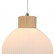 Подвесной светильник Arte Lamp Caprice A4184SP-1BR