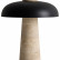 Настольная лампа декоративная Freya Sunspot FR5482TL-L7B