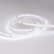 Лента светодиодная Arlight IC 2-30000 24V White6000 10mm (2835, 60 LED/m, LUX) 027030