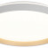 Накладной светильник Citilux ENZO CL753510G