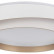 Накладной светильник EVOLUCE Crosby SLE6009-502-01