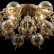 Потолочная люстра Maytoni Bolla MOD133CL-04BS