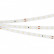 Лента светодиодная Arlight IC 2-30000 24V Day5000 10mm (2835, 60 LED/m, LUX) 027031