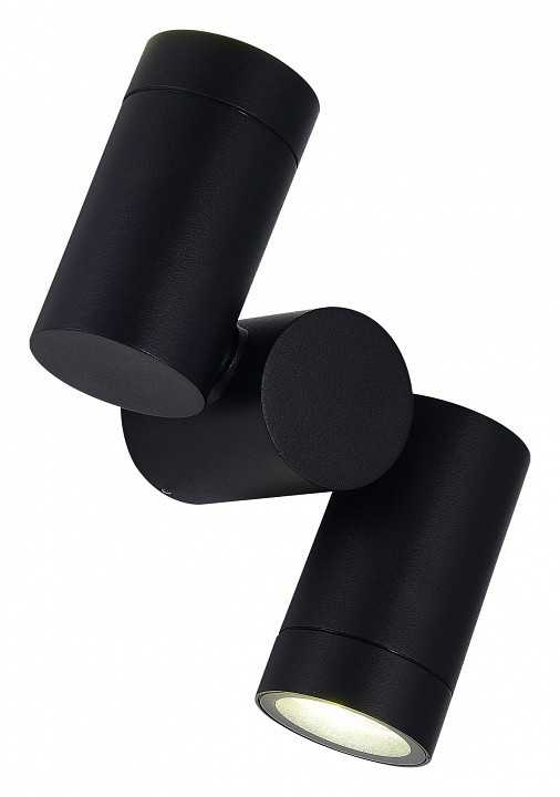 Светильник на штанге ST-Luce Ecollo SL9011.402.02