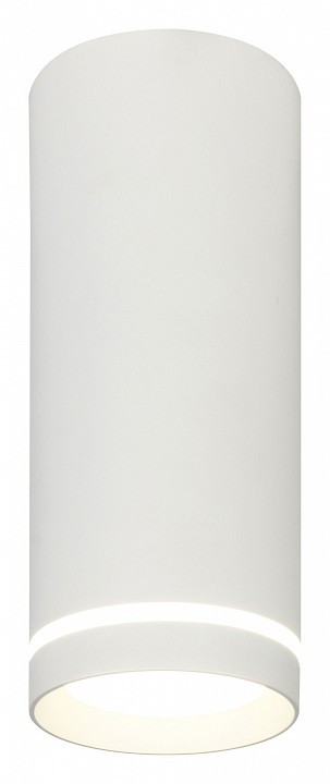 Накладной светильник Escada 20009 20009SMU/02LED SWH