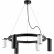 Подвесная люстра Lightstar Rullo LR016873363