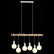 Подвесной светильник EVOLUCE Bagetti SL1142.503.06