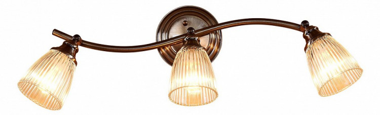 Спот Citilux Виндзор CL539531