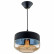 Подвесной светильник Citilux Эдисон CL450208