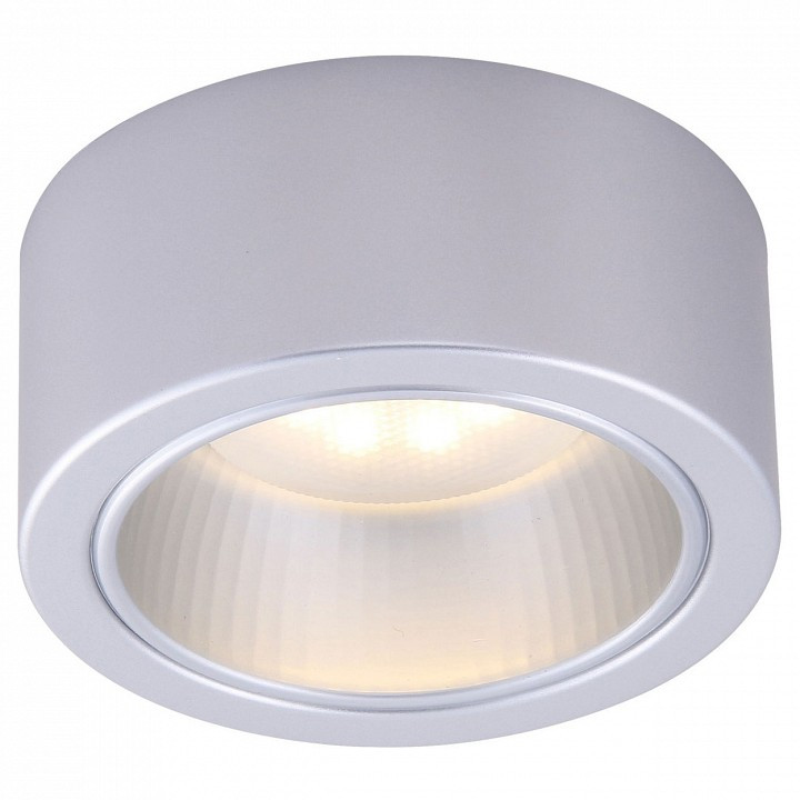 Накладной светильник Arte Lamp Effetto A5553PL-1GY