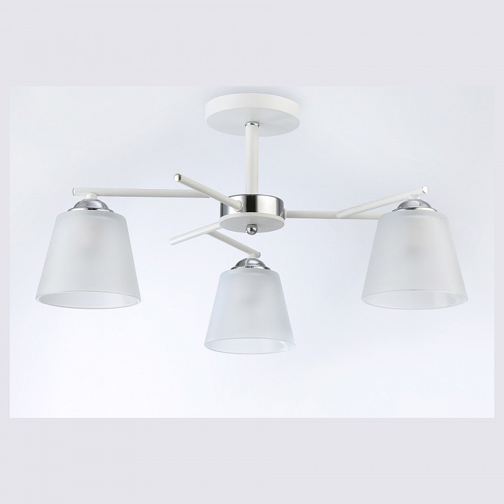 Светильник на штанге Ambrella TR TR303202